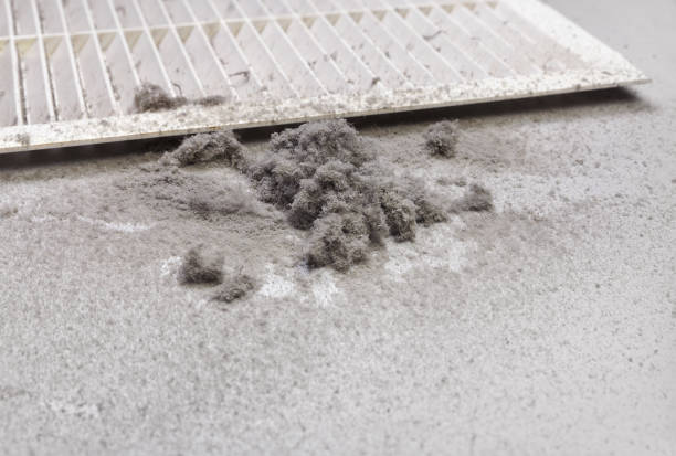 Best Residential Air Duct Cleaning  in Abingdon, MD